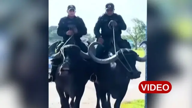 బ్రెజిల్, మిరాజో ద్వీపం