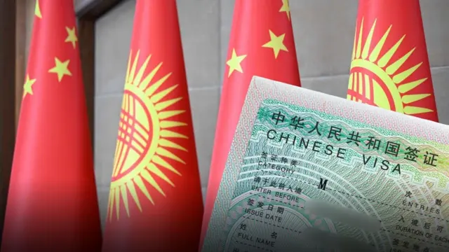 a collage of flags and a visa
