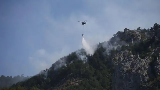 Sinop'taki orman yangını