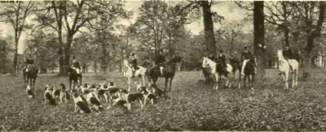 Полювання par Force в Антонінах