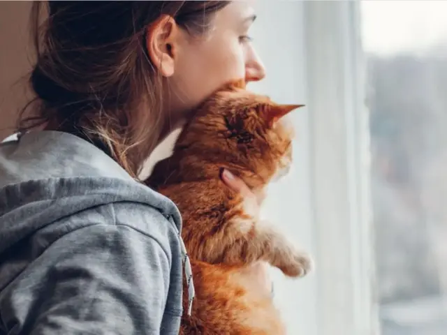 ментално здравље