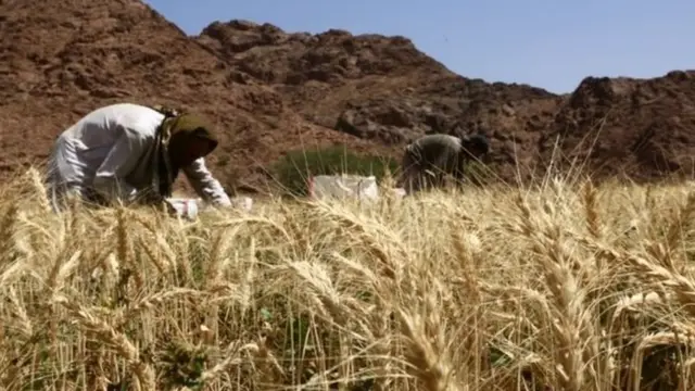 सौदी अरेबिया, मध्यपूर्व आखात