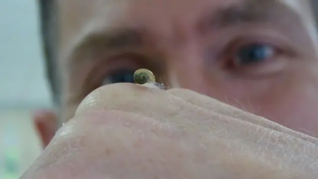 ஜெரிமியின் குழந்தைகள்