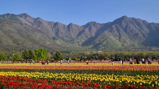 سری نگر میں موسمِ بہار