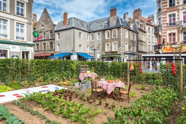 ایفہیمرل گارڈن