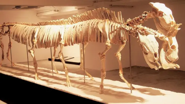 El artista Shen Shaomin creó una criatura de tres cabezas.