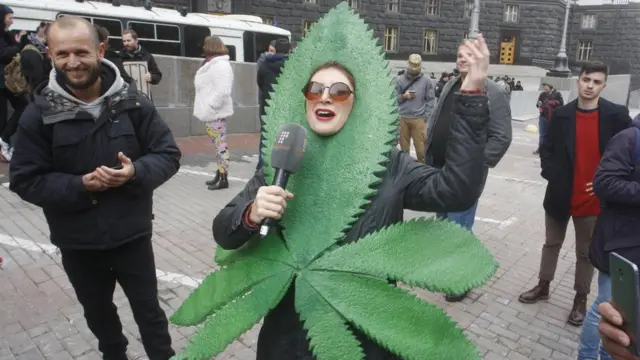 بھنگ کی کہانی