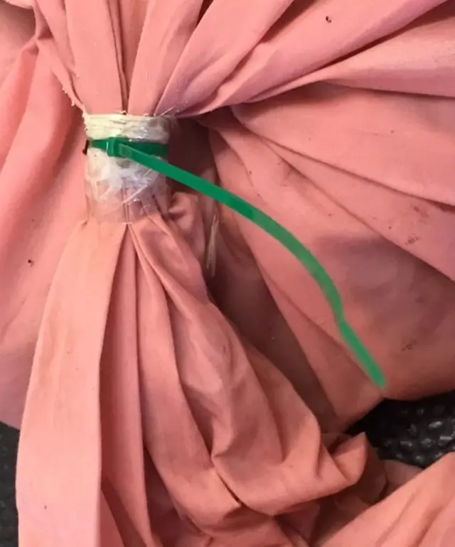 مار در روبالشی