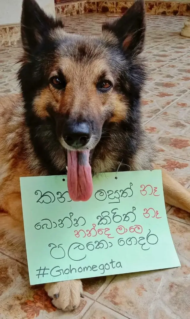 සුරතලුන් පවා විරෝධතාවන්ට එක්කර ගෙන තිබේ