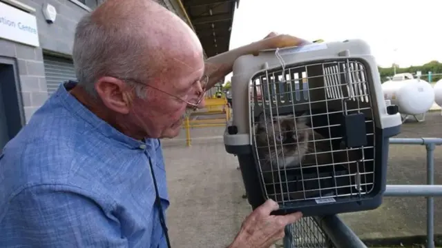 Иэн Лиз и Динки