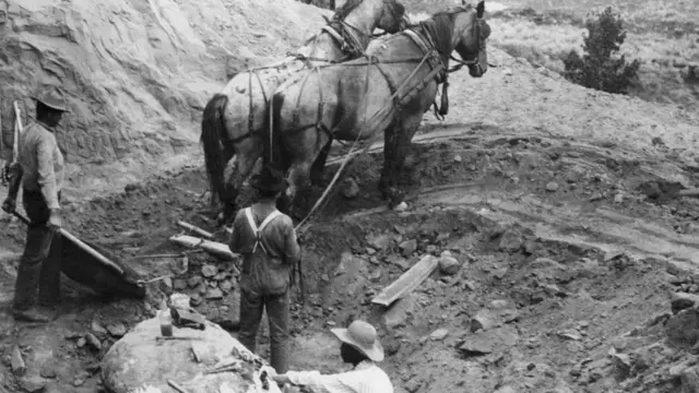 Početkom 20. veka, sakupljanje krupnih fosila bilo je logističko minsko polje, koje je često uključivalo nepristupačne lokacije, podizanje teškog tereta i kola sa upregnutim konjima