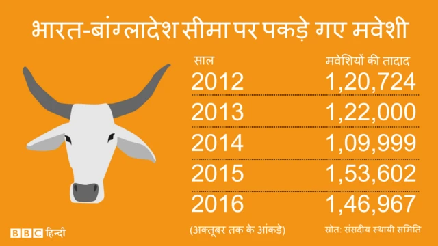 मवेशियों की तस्करी