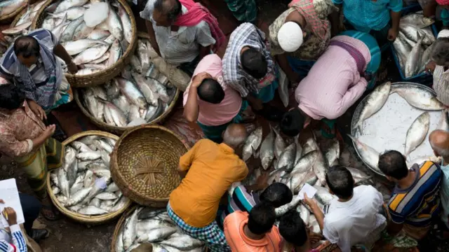 রাজধানী ঢাকার একটি পাইকারি মাছ বাজার