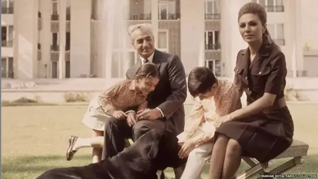 ఇస్లామిక్ ఉద్యమానికి ముందు రాజ కుటుంబం వద్ద కూడా పెంపుడు కుక్కులు ఉండేవి