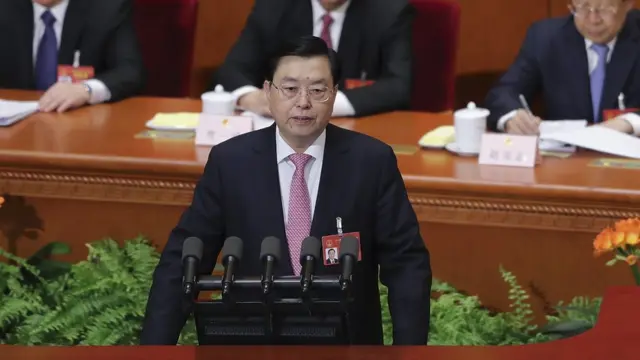 人大委員長張德江