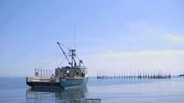 Un barco pesquero de langosta Foto: Mike Rossi