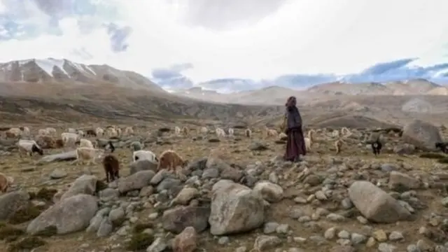 लडाख