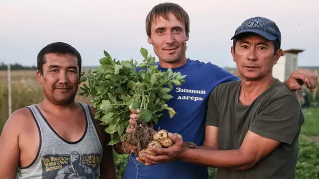 Rusiyanın Tula regionunda işləyən Qırğızıstan vətəndaşları.
