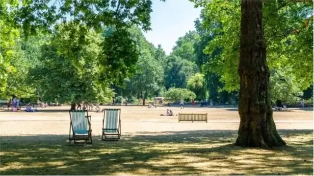 গরমে ছায়ায় থাকুন