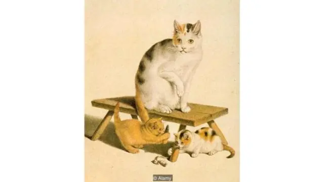 Gottfried Mind "rəssam alim" olub və pişikləri son dərəcə qeyri-adi dəqiqliklə çəkib