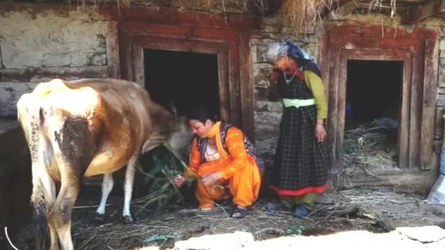 कुल्लूमधल्या महिला