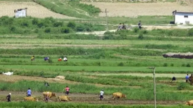 उत्तर कोरिया