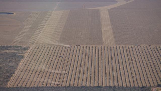 Áreabonus para betanoplantaçãobonus para betanosoja