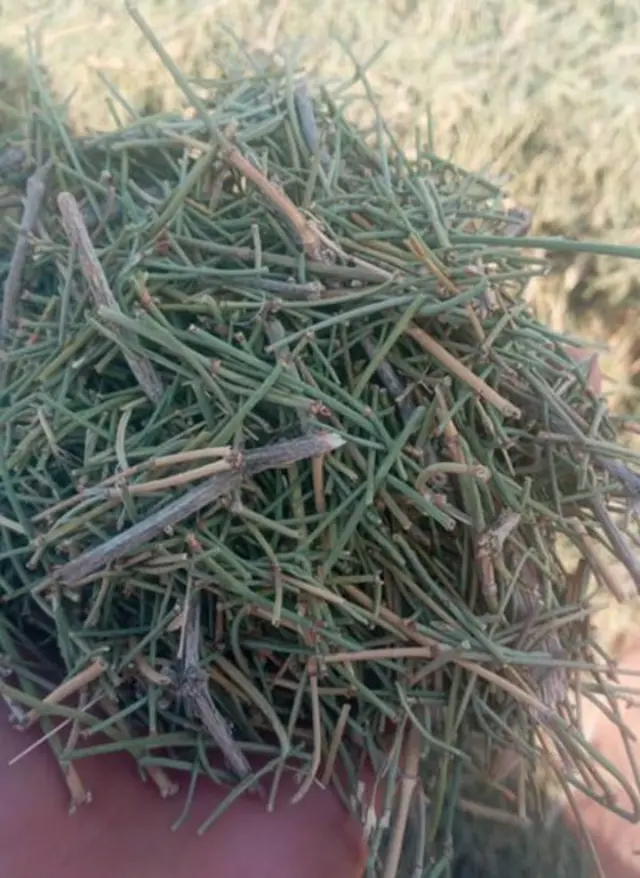 sabu, heroin, Afghanistan, Kabul