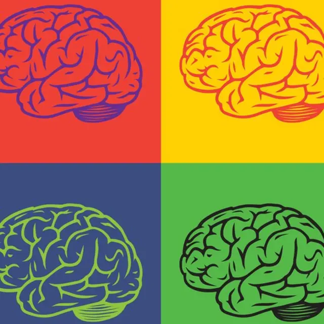 Dibujo de cerebros con colores.