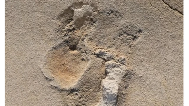 Image of one of the Trachilos footprints