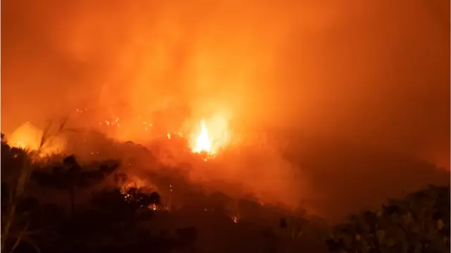 Incêndiospartan slotfloresta amazônic