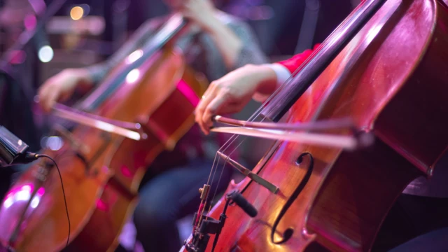 Pessoas tocando em orquestra.