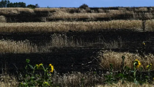 Posledstviя rossiйskogo aviaudara