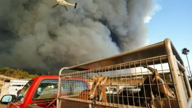 கலிஃபோர்னியாவில் காட்டுத்தீ