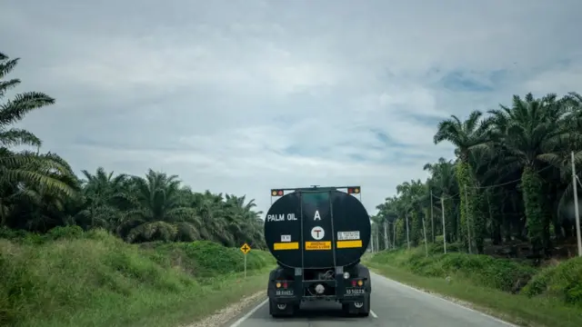 मलेशिया, भारत, पाकिस्तान, आयात-निर्यात