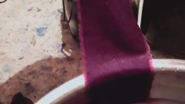 On ne sait pas pourquoi les escargots Murex produisent les précurseurs chimiques de la pourpre de Tyrie, mais on pense qu'ils sont utilisés pour paralyser les proies.