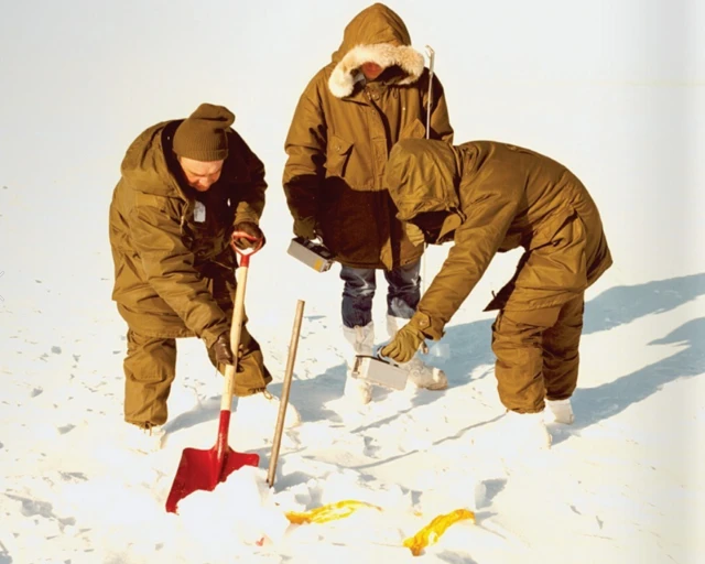 поисковая операция