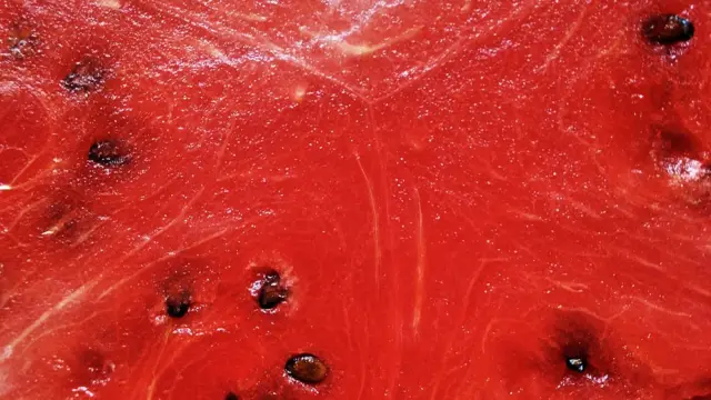 పుచ్చకాయలు