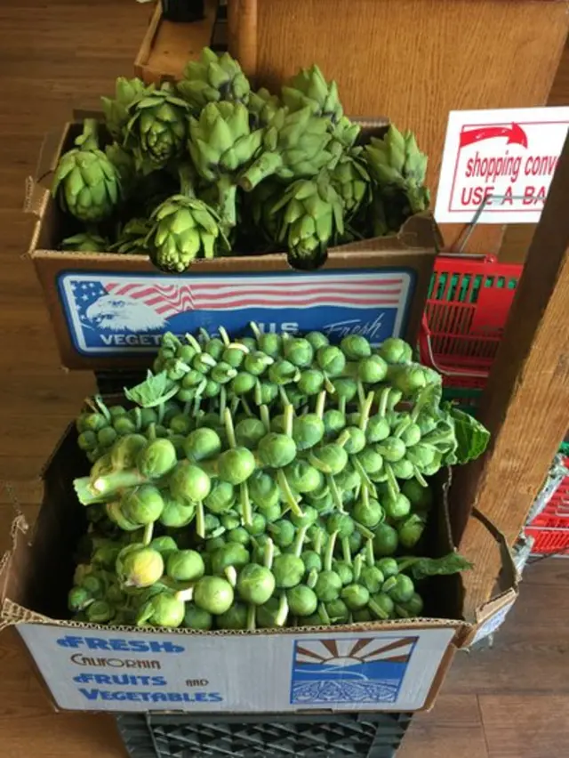 Alcachofas en Pescadero, California