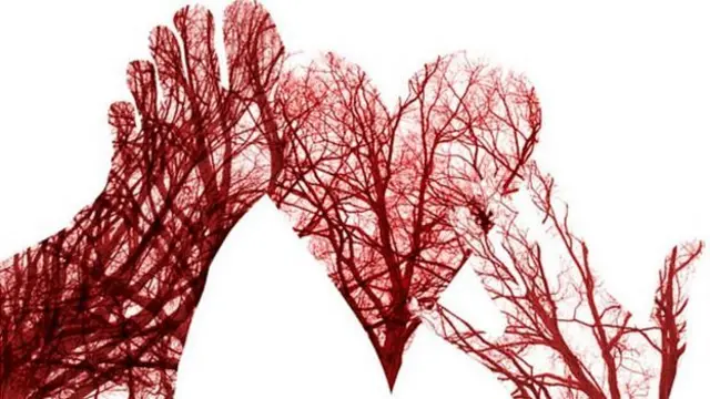 Venas con sangre en el pie, corazón y mano