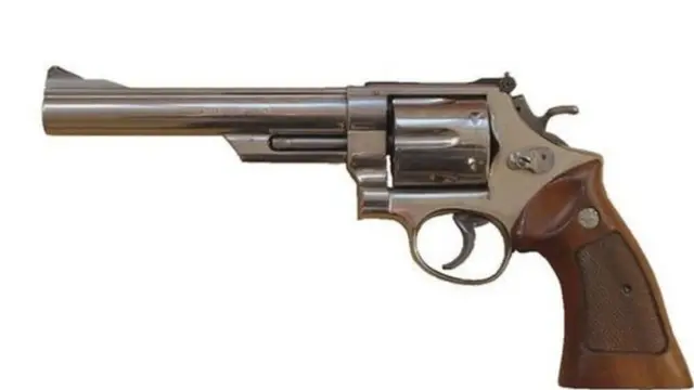 Gun