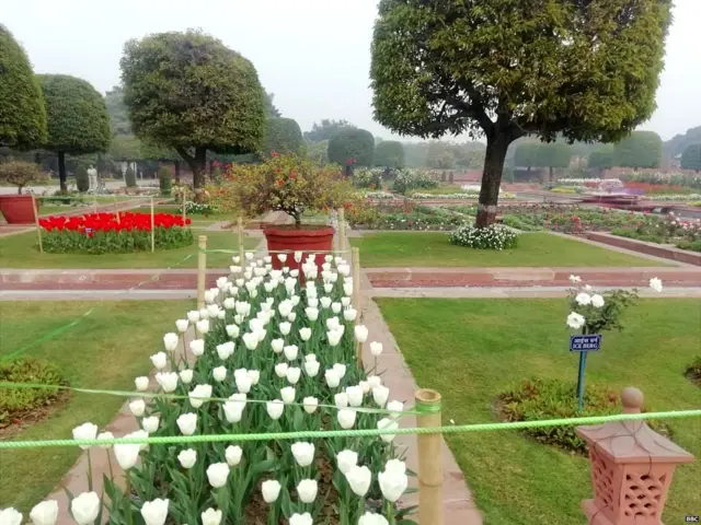 ਰਾਸ਼ਟਰਪਤੀ ਭਵਨ ਦੇ ਅੰਦਰ ਬਣਿਆ ਮੁਗਲ ਗਾਰਡਨ