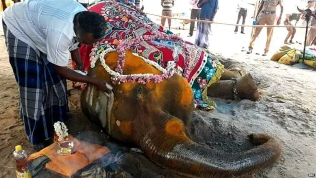 ఏనుగు మరణం