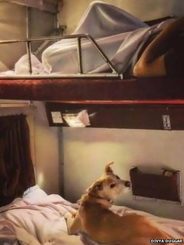 रेल्वेत कुत्राही प्रवाशी