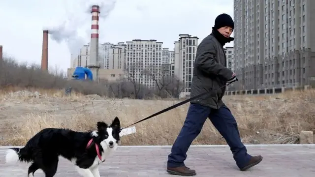 Çin'de köpeğini dolaştıran bir adam