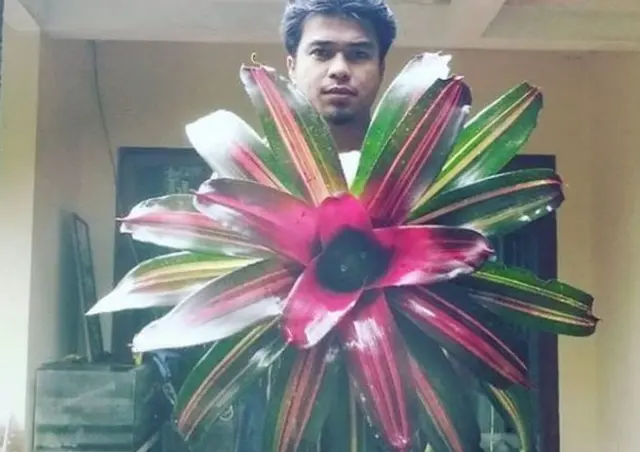 Pemilik Laligar Nursery, Syafrul Reiza menunjukkan salah satu koleksi tanaman hiasnya.