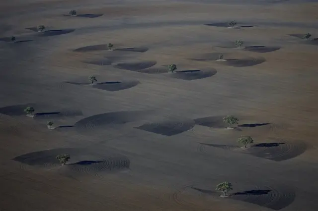 Фото ферм Австралії