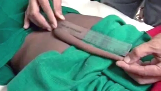 Mkia huo una urefu wa sentimita 20