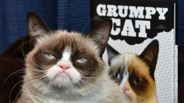 worth tens of millions