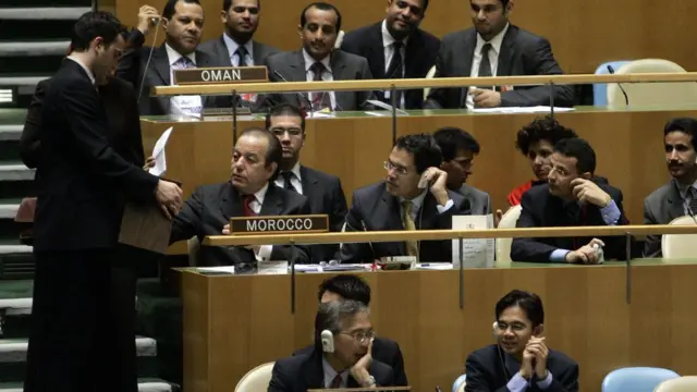 BM Genel Kurulu'nda oylama